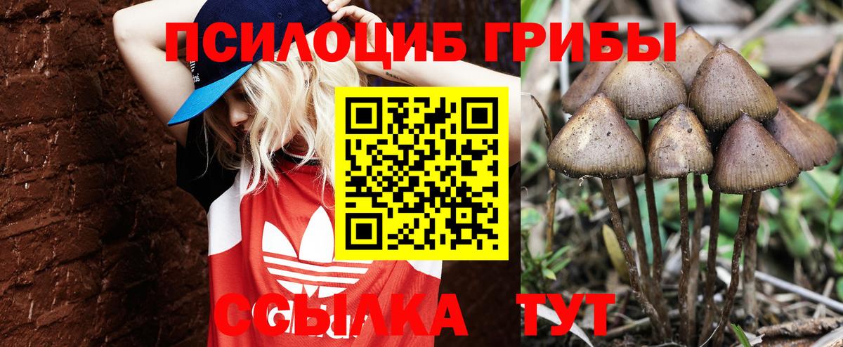 Марихуана Каспийск