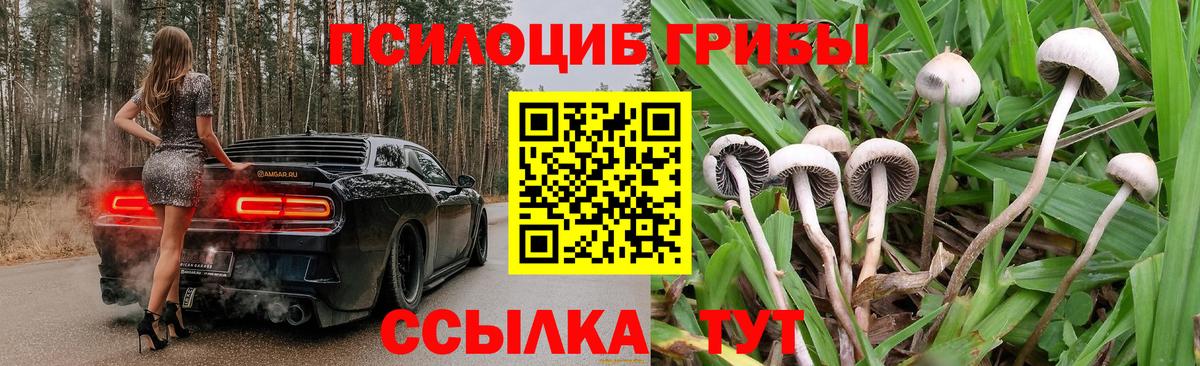 Галлюциногенные грибы мухоморы Каспийск