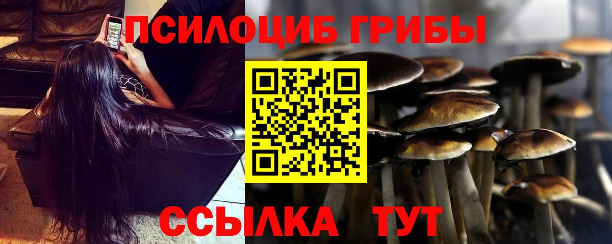 Псилоцибиновые грибы Magic Shrooms  Вход с VPN  Каспийск 